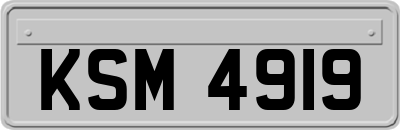KSM4919