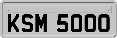 KSM5000