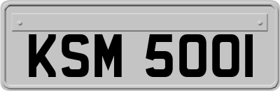 KSM5001