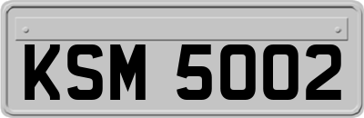 KSM5002