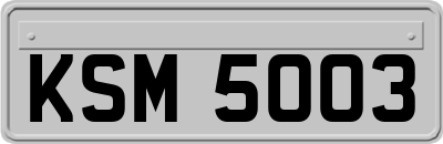 KSM5003