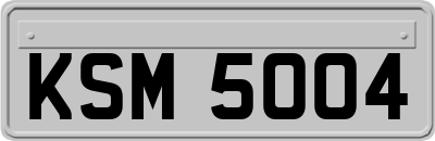 KSM5004