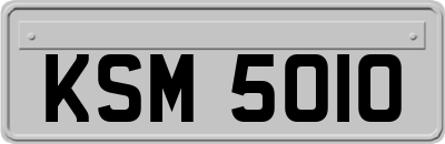 KSM5010