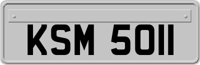 KSM5011