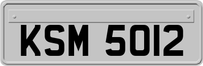 KSM5012