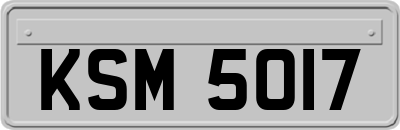 KSM5017