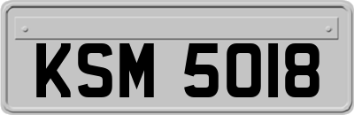 KSM5018