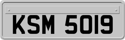 KSM5019
