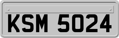 KSM5024