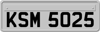 KSM5025