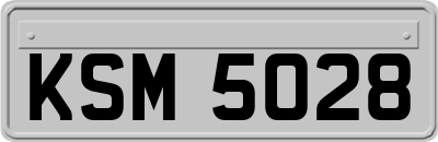 KSM5028