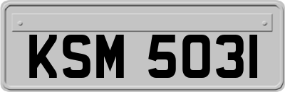 KSM5031