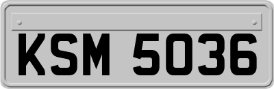 KSM5036