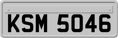 KSM5046