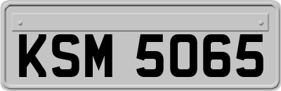 KSM5065
