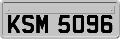 KSM5096