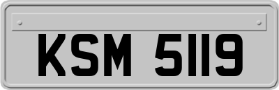 KSM5119