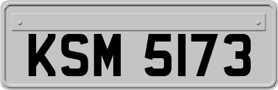 KSM5173