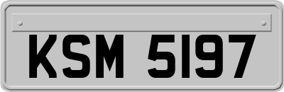 KSM5197
