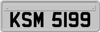 KSM5199