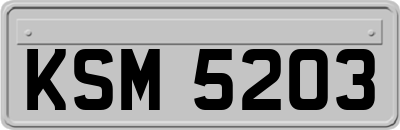 KSM5203