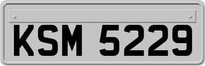 KSM5229