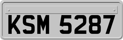 KSM5287