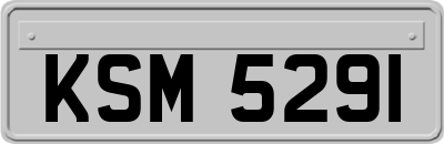 KSM5291