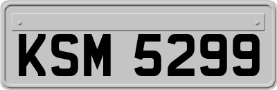 KSM5299
