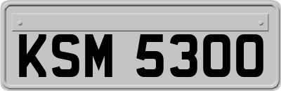KSM5300