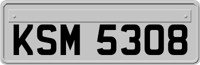 KSM5308