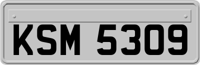 KSM5309