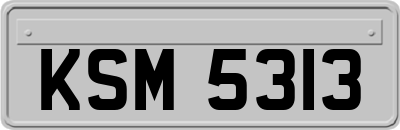 KSM5313