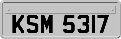 KSM5317