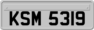 KSM5319