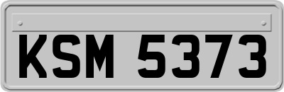 KSM5373
