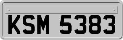 KSM5383