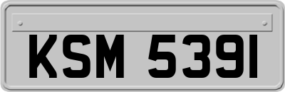 KSM5391