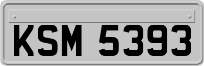KSM5393