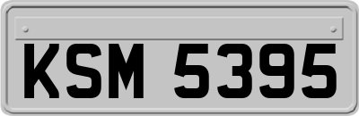 KSM5395