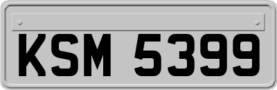 KSM5399