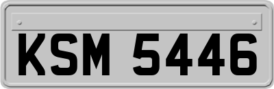 KSM5446
