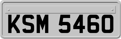 KSM5460