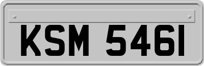 KSM5461