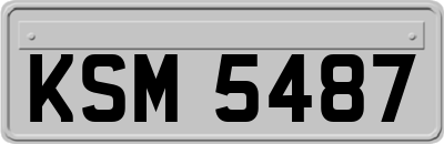 KSM5487