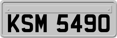 KSM5490