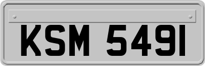 KSM5491