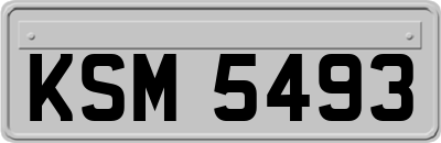 KSM5493