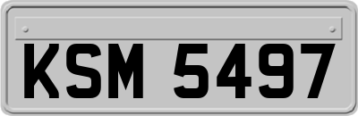 KSM5497