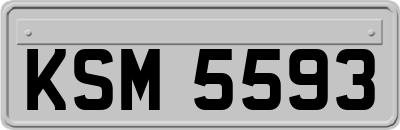 KSM5593